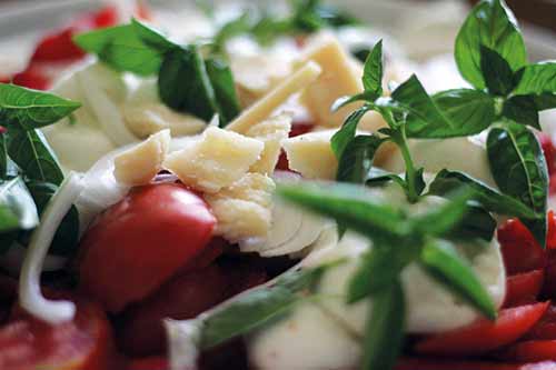 La tradition du fromage italien en France